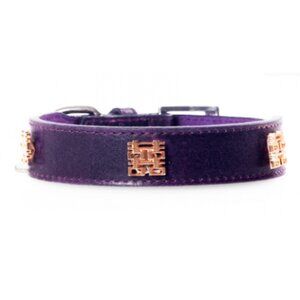 Designer Purple Dog Collar (NEW)